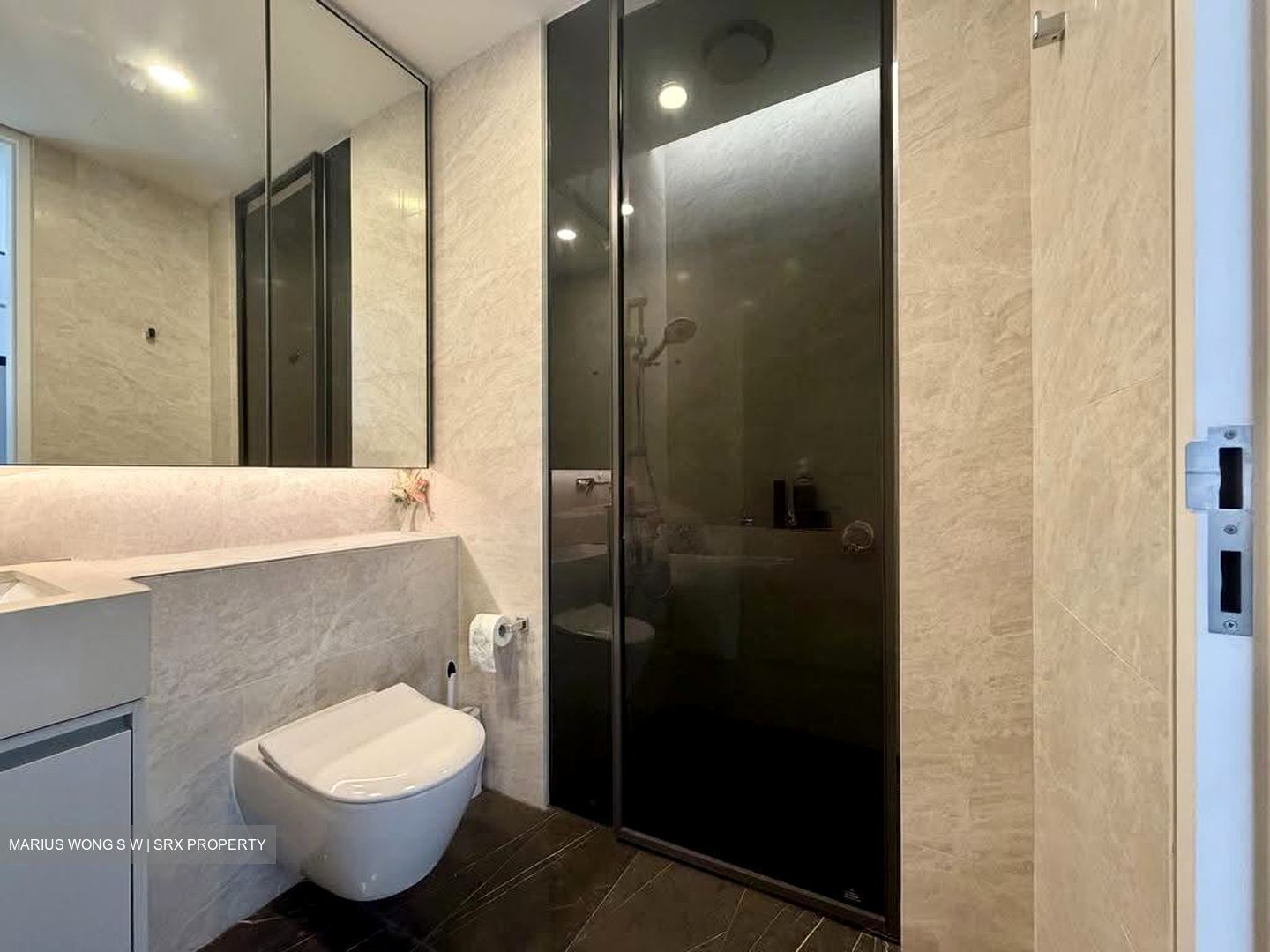 Amber Park (D15), Condominium #629347311
